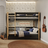 Black and Oak Bunk Bed with Drawer – Wooden Safety Rail and Ladder, Nizio